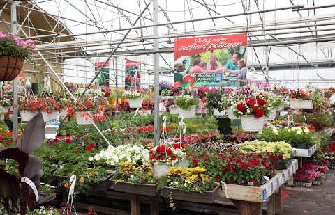 Club Piscine Marcel Dionne & Fils Inc Club Piscine Marcel Dionne & Fils Inc